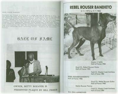 Rebel Rouser Bandieto HOF