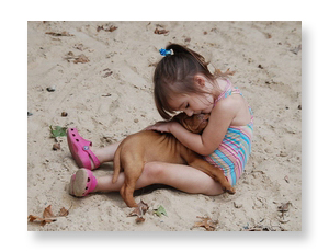 Shelby & Vizsla Puppy Luna